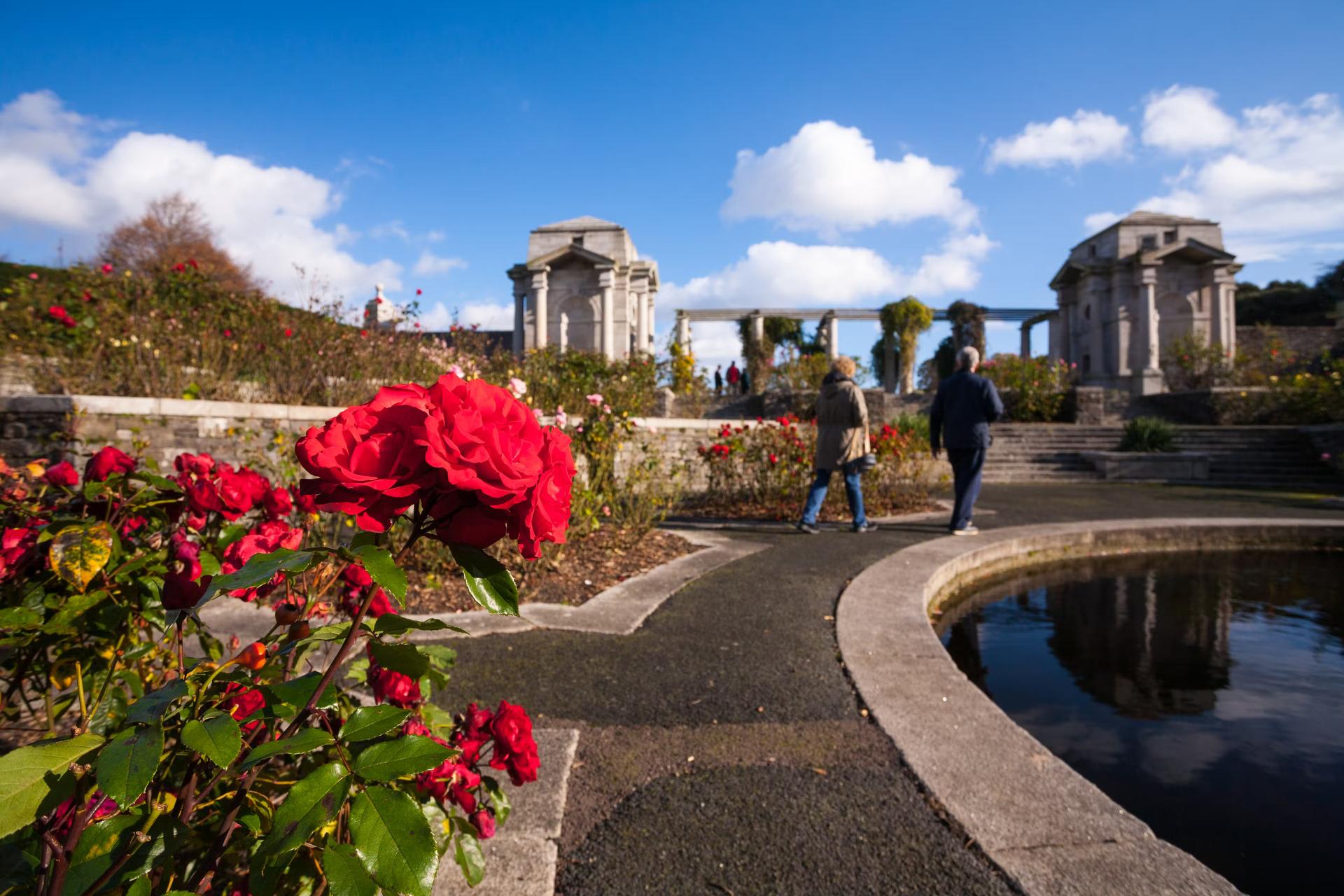 在爱尔兰都柏林的战争纪念花园中行走